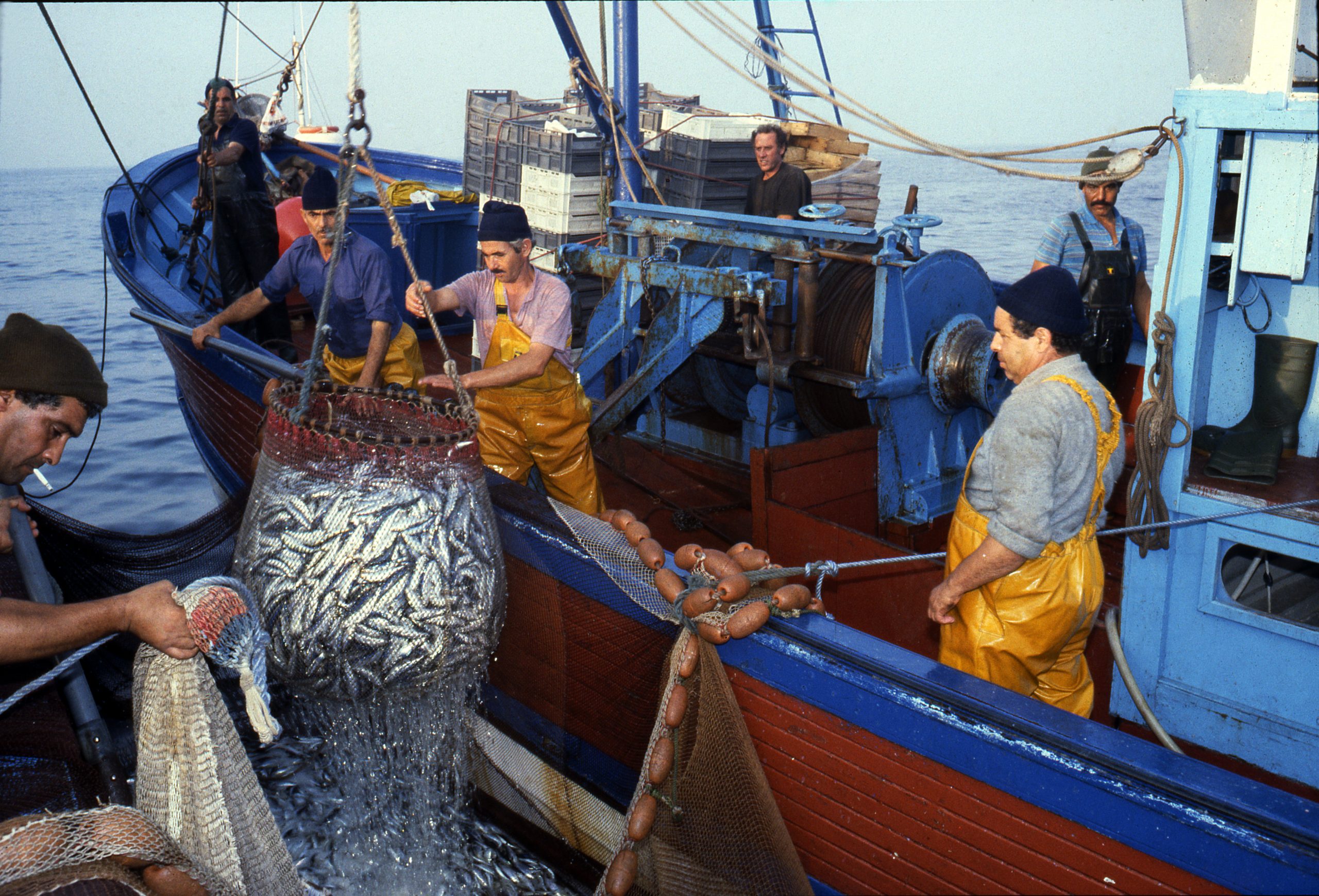 Quiz : Rive Nord Travailleurs en action, sur l'Expo "Travailleurs de la mer" by Patrick Box