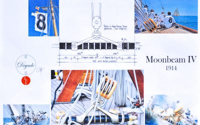 Quiz : Le croquis, sur l’Expo « Alpha & Oméga » By Dryade & KrisK